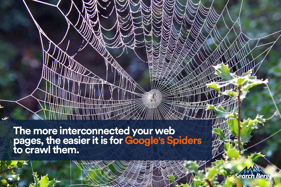 A spider web is shown with a spider crawling it to illustrate that increasing internal links help Google's spiders crawl your website more easily, improving your domain authority.
