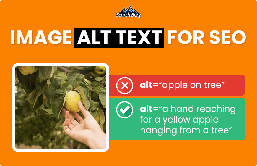 Infographic explaining the correct way to write alt text