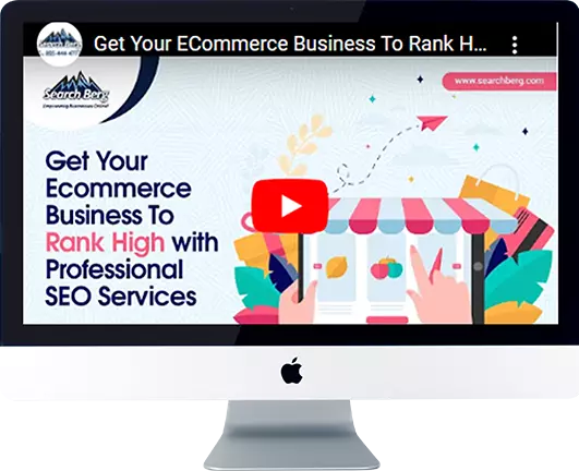 Get Your ECommerce Business To Rank High With Professional SEO Services - Search Berg