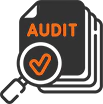 Account Audit