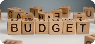 Budget Optimization infographics