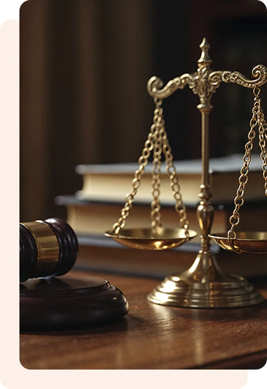 Legal Services infographic