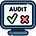 Website Audit Icon