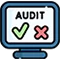 website audit